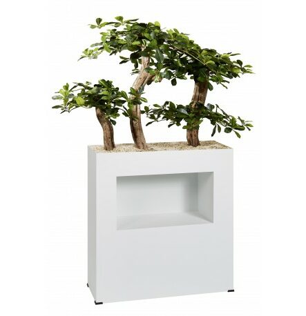 Plantes artificielles bonsai